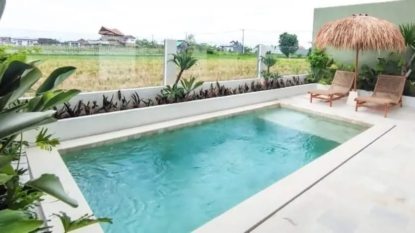 Villa pool with sun loungers under a thatched umbrella beside rice fields